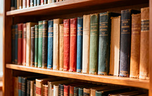 生态文明教育融入小学科学课程体系的设计与探索